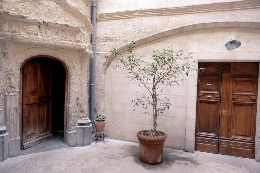 Noa - Mont Piete Studio Intramuros - Avignon Extérieur photo